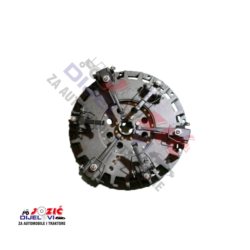 Daisy on the Ohoopee